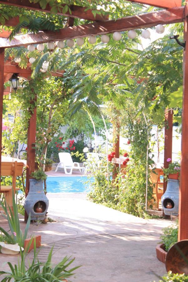 Alba Family Club Hotel プリモルスコ エクステリア 写真