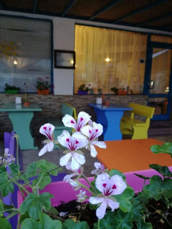 Alba Family Club Hotel プリモルスコ エクステリア 写真